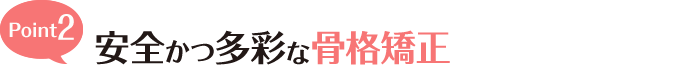 Point2 安全かつ多彩な骨格調整